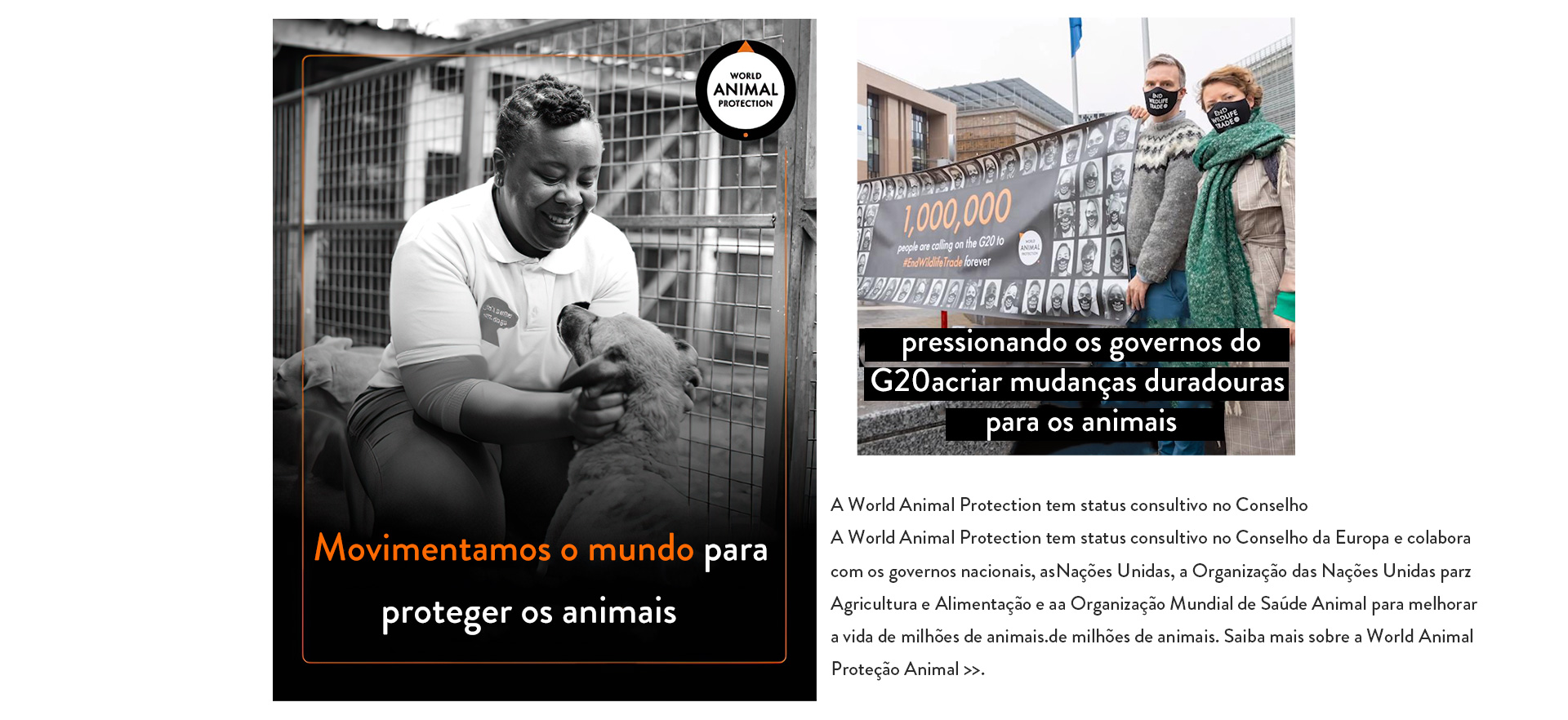 Jeulia's Partnership with World Animal Protection