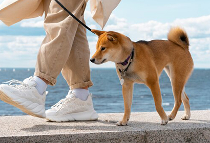 Regali Per Amanti Degli Animali