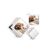 Little Paw Print Photo Charm Sterling Silver