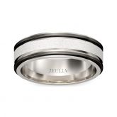 Two Tone Frosted Stainless Steel Men's Band