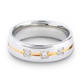 Two Tone Titanium Steel Men's band