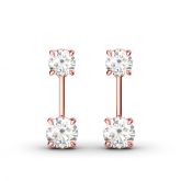 Humble Elegance Drop Earrings